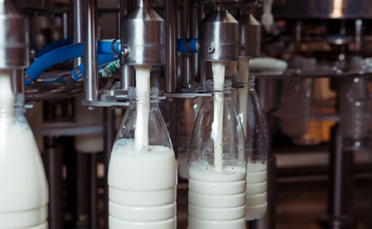 Referenzbroschüre Milchindustrie